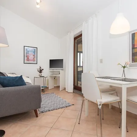 Agava Romantic * Рабац